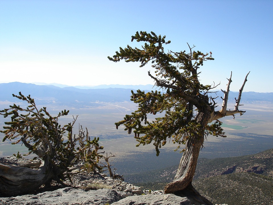 great basin nationalpark